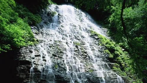 科技高性能